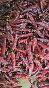 팜모닝 자유주제·자유게시판 게시글 이미지