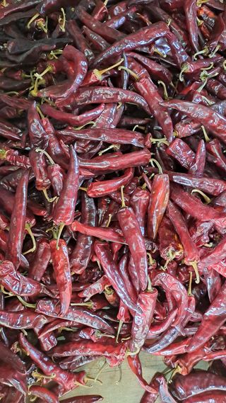 장수농장님의 자유주제 · 자유게시판 작성글 사진