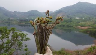 권혜전님의 자유주제 · 자유게시판 작성글 사진