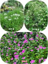 팜모닝 자유주제·자유게시판 게시글 이미지