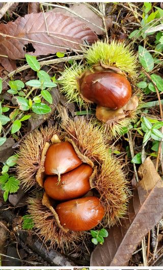 권혜전님의 자유주제 · 자유게시판 작성글 사진