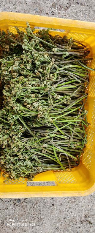 권혜전님의 자유주제 · 자유게시판 작성글 사진