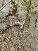 팜모닝 자유주제·자유게시판 게시글 이미지