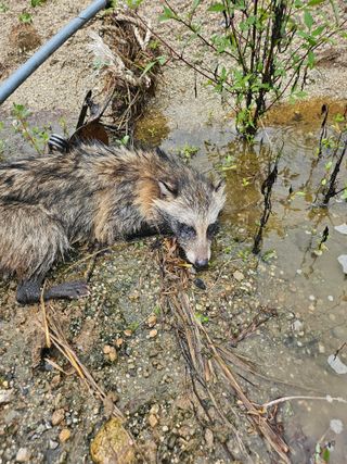 윤재하님의 자유주제 · 자유게시판 작성글 사진