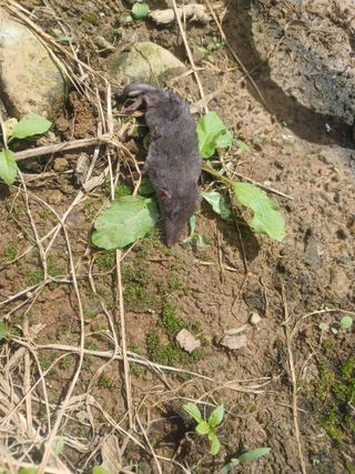 대구 바이오님의 자유주제 · 자유게시판 작성글 사진