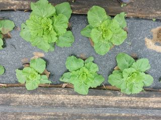 정연국님의 자유주제 · 자유게시판 작성글 사진