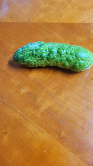 박재순님의 자유주제 · 사진전 작성글 사진