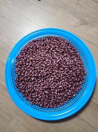 회사원&초보농사꾼님의 자유주제 · 자유게시판 작성글 사진