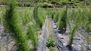 이창신님의 작성글 사진