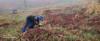 권혜전님의 자유주제 · 자유게시판 작성글 사진