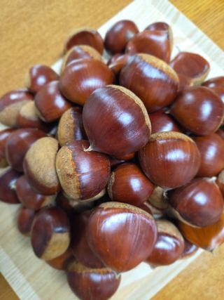 신연희님의 작성글 사진