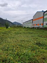 팜모닝 자유주제·자유게시판 게시글 이미지