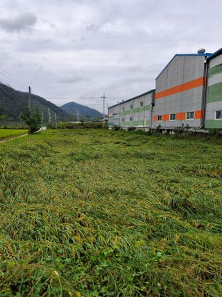 전복수님의 자유주제 · 자유게시판 작성글 사진