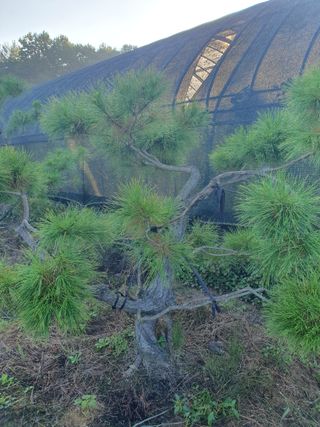 작은소나무님의 자유주제 · 자유게시판 작성글 사진