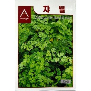 아시아종묘님의 자유주제 · 자유게시판 작성글 사진