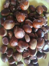 팜모닝 자유주제·자유게시판 게시글 이미지