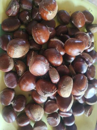 farmer님의 자유주제 · 자유게시판 작성글 사진