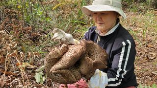 권혜전님의 자유주제 · 자유게시판 작성글 사진
