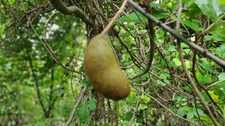 권혜전님의 자유주제 · 자유게시판 작성글 사진