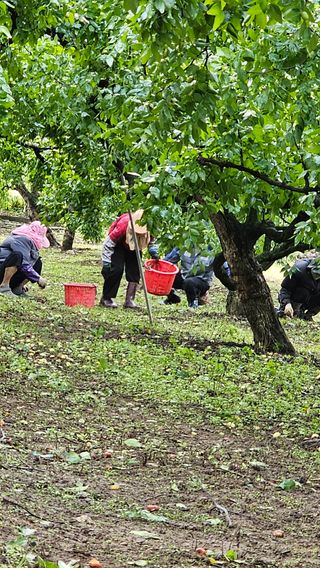 배성은365님의 자유주제 · 자유게시판 작성글 사진