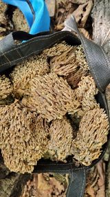 팜모닝 자유주제·자유게시판 게시글 이미지