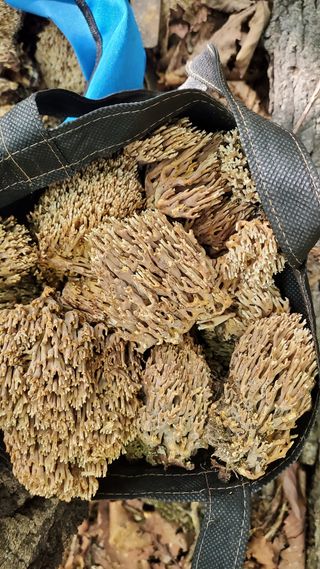 권혜전님의 자유주제 · 자유게시판 작성글 사진