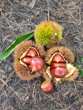 신연희님의 작성글 사진