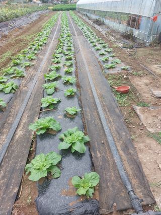 정연국님의 자유주제 · 자유게시판 작성글 사진