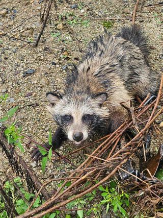 윤재하님의 자유주제 · 자유게시판 작성글 사진