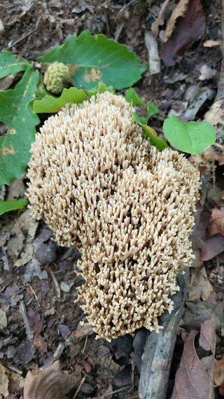 권혜전님의 자유주제 · 자유게시판 작성글 사진