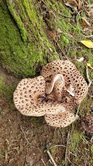 권혜전님의 자유주제 · 자유게시판 작성글 사진