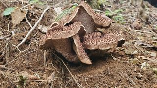 권혜전님의 자유주제 · 자유게시판 작성글 사진