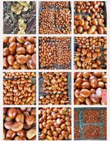 팜모닝 자유주제·자유게시판 게시글 이미지