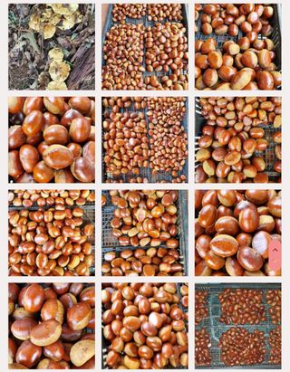 권혜전님의 자유주제 · 자유게시판 작성글 사진