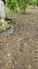 팜모닝 자유주제·자유게시판 게시글 이미지