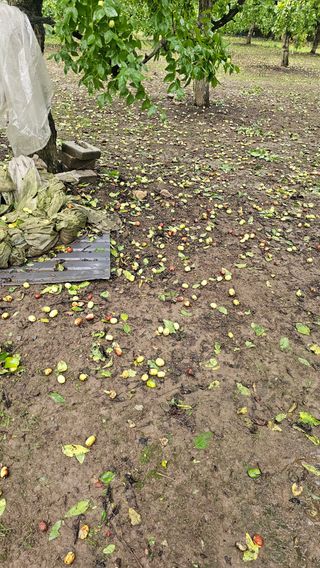 배성은365님의 자유주제 · 자유게시판 작성글 사진