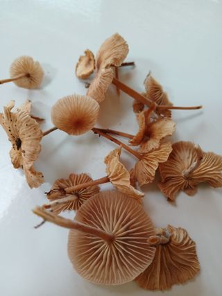 정구옥님의 자유주제 · 자유게시판 작성글 사진