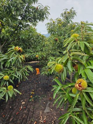 신연희님의 작성글 사진