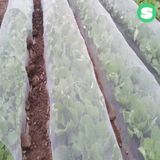 팜모닝 · 게시글 이미지