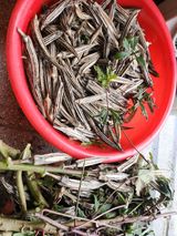 팜모닝 자유주제·자유게시판 게시글 이미지