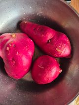 팜모닝 자유주제·자유게시판 게시글 이미지