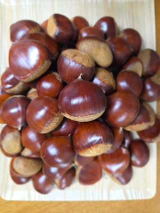 신연희님의 작성글 사진