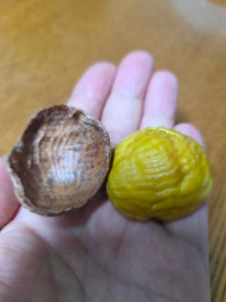 신연희님의 작성글 사진