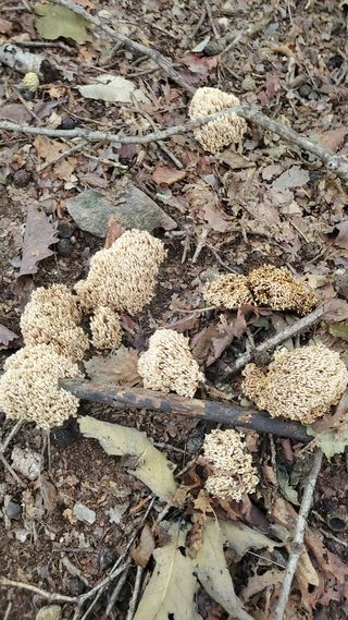 권혜전님의 자유주제 · 자유게시판 작성글 사진