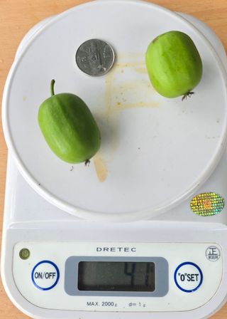 허 동길(길이농장)님의 작성글 사진