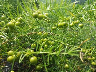 이창신님의 작성글 사진