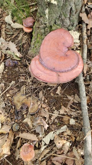 권혜전님의 자유주제 · 자유게시판 작성글 사진