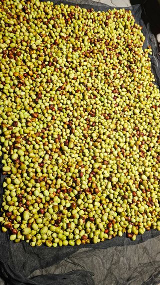 배성은365님의 자유주제 · 자유게시판 작성글 사진