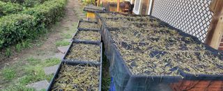 권혜전님의 자유주제 · 자유게시판 작성글 사진