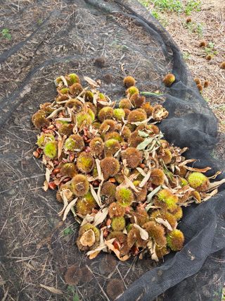 신연희님의 작성글 사진